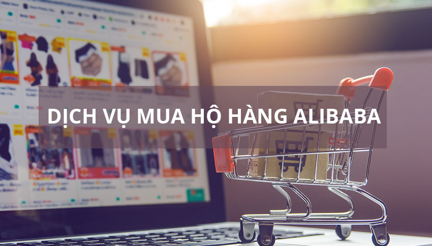 Dịch vụ mua hộ hàng trên Alibaba Dịch vụ mua hộ hàng trên Alibaba