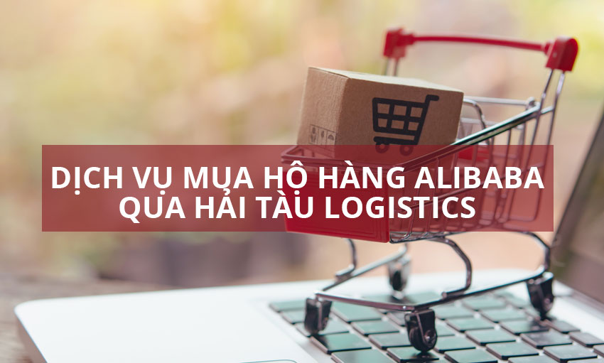 Mua hộ hàng Alibaba qua Hải Tàu Logistics