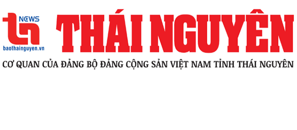 Hải Tàu Logistics – Dịch vụ order hàng Trung Quốc về Việt Nam uy tín, chất lượng