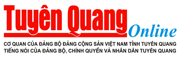 Đơn vị mua hộ hàng trung quốc uy tín, chất lượng tại Việt Nam