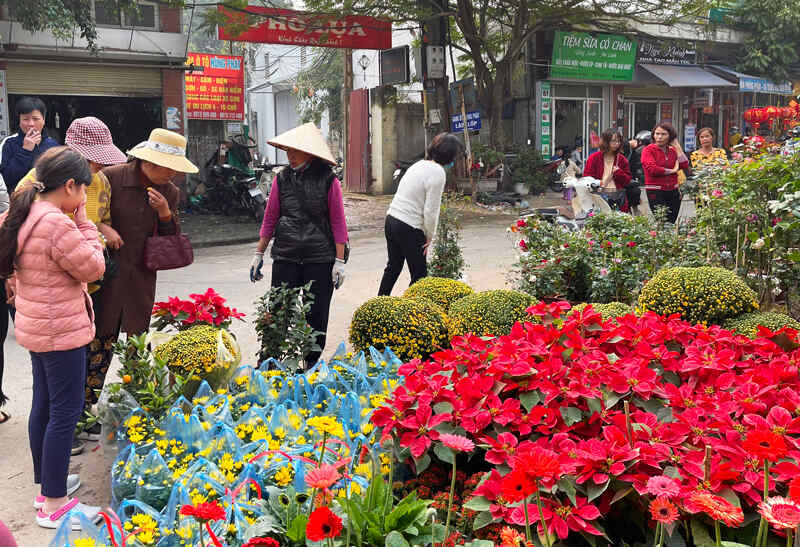 Chợ hoa Hà Đông nổi tiếng đông đảo người dân đến mua